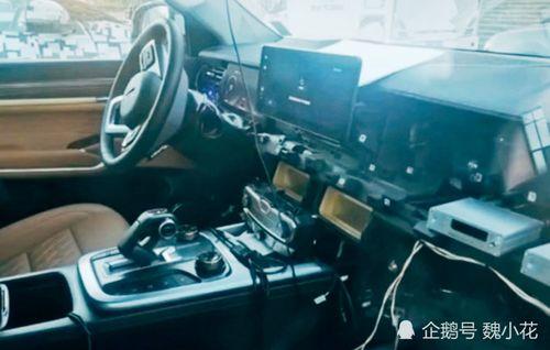 坦克600最新爆料内饰,豪华与科技并存，打造全新驾驶体验