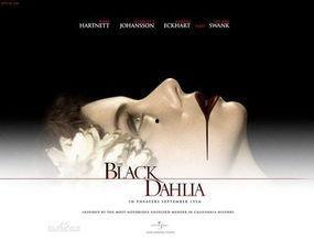 小说家紫皮最新爆料,揭秘神秘故事背后的真实内幕