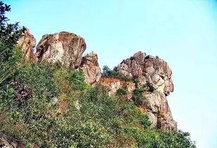 狮子山爆料时间最新消息,最新消息揭示惊人内幕