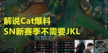 cat最新爆料fmvp,揭秘最新FMVP神秘面纱