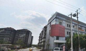 家园小区爆料事件最新,最新事件引发居民热议，真相究竟如何？