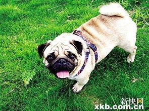 内蒙巴哥爆料最新消息新闻