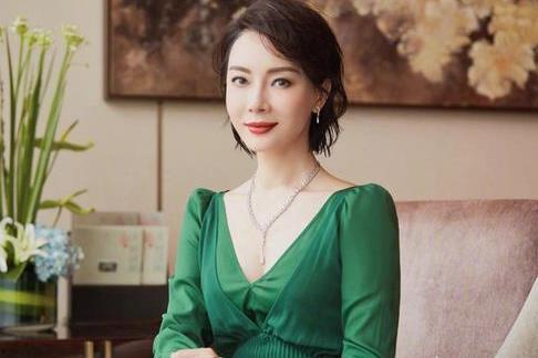 陈数最新爆料消息视频