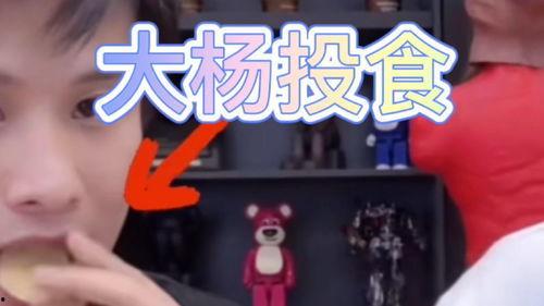 小杨哥和小黄最新爆料视频