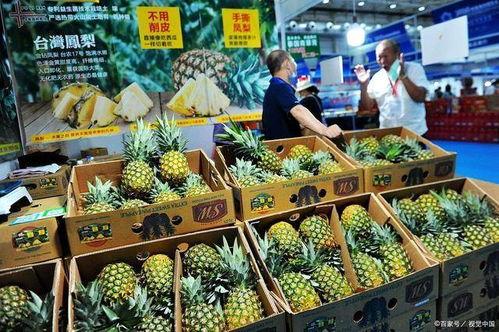 凤梨爆料视频大全最新版,最新版精彩内容大盘点